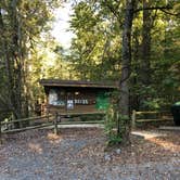 Review photo of Cossatot Falls Campsites — Cossatot River State Park - Natural Area by Wenona D., October 18, 2020