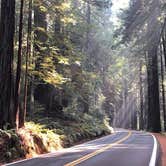 Review photo of Giant Redwoods RV & Cabin Destination by Randy J., October 18, 2020