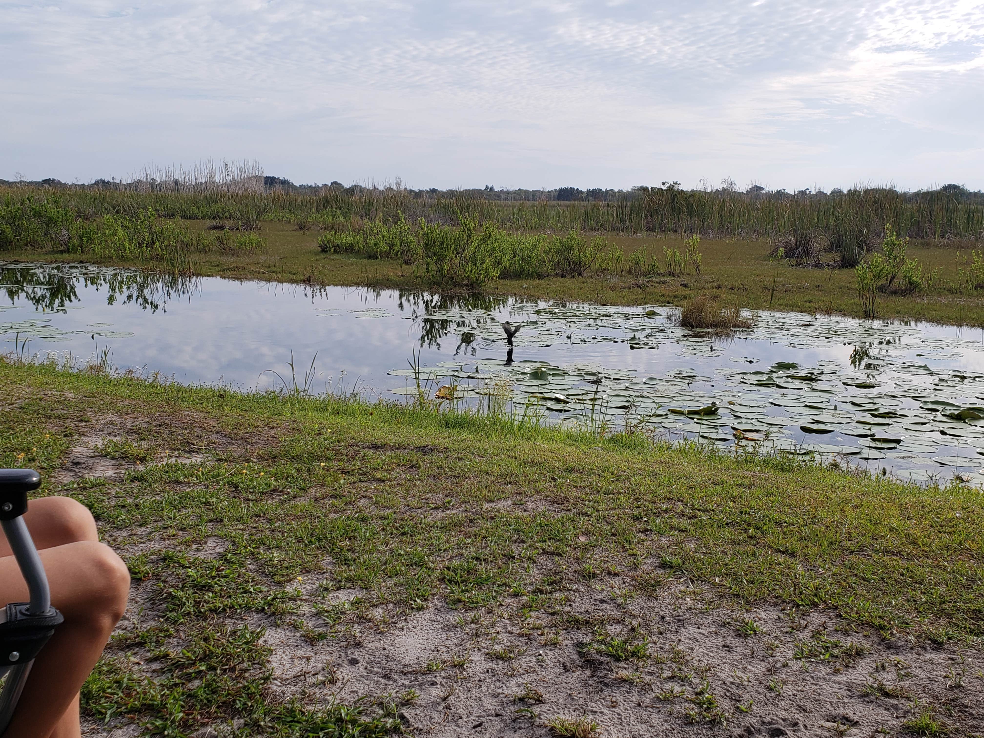 Camper-submitted photo at Savannas Recreational Park near Jensen Beach, FL