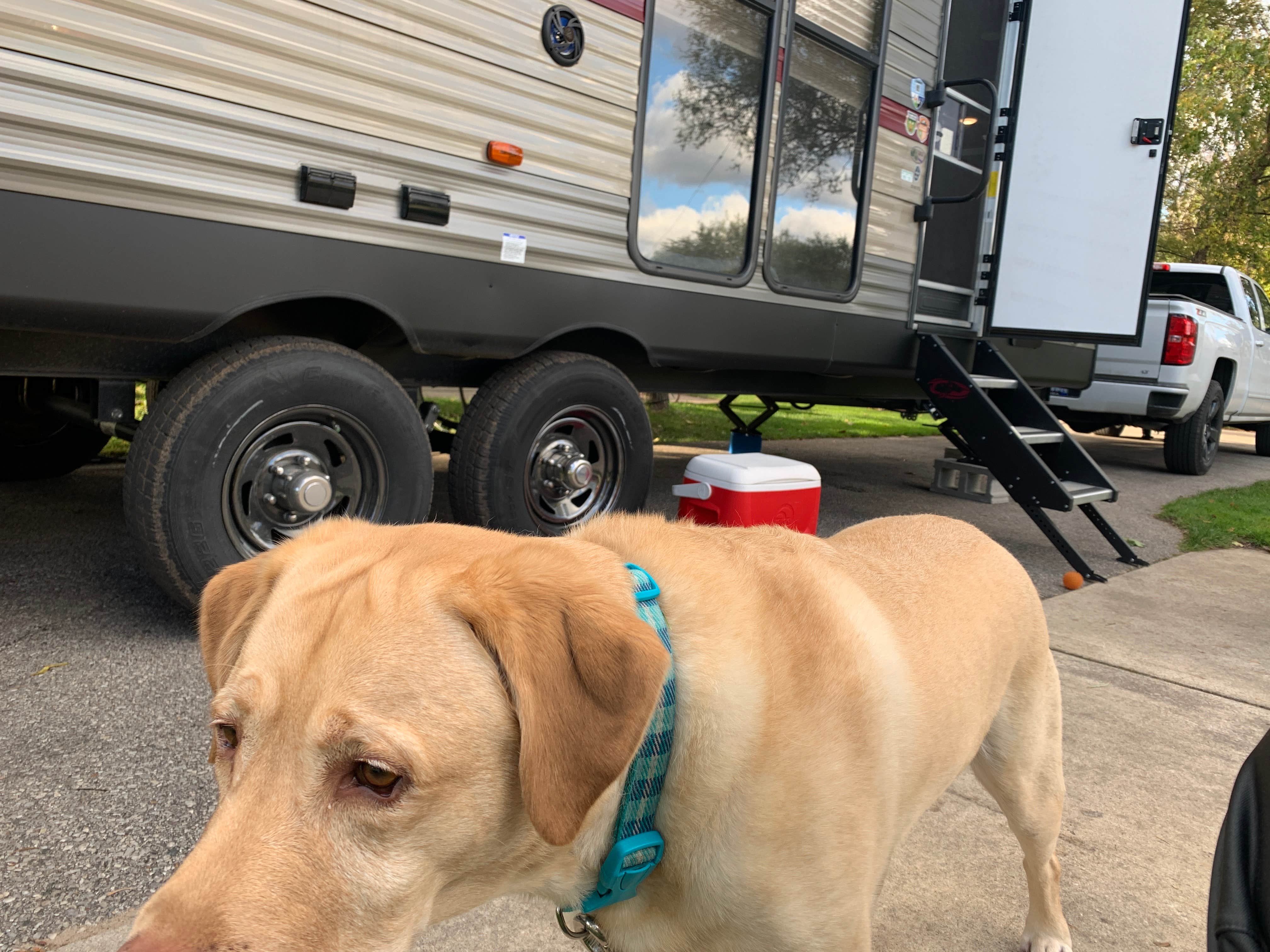Chris R.'s photo of camping with pets at Petoskey KOA near Elmira, MI