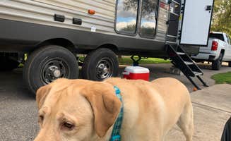 Chris R.'s photo of camping with pets at Petoskey KOA near Cross Village, MI