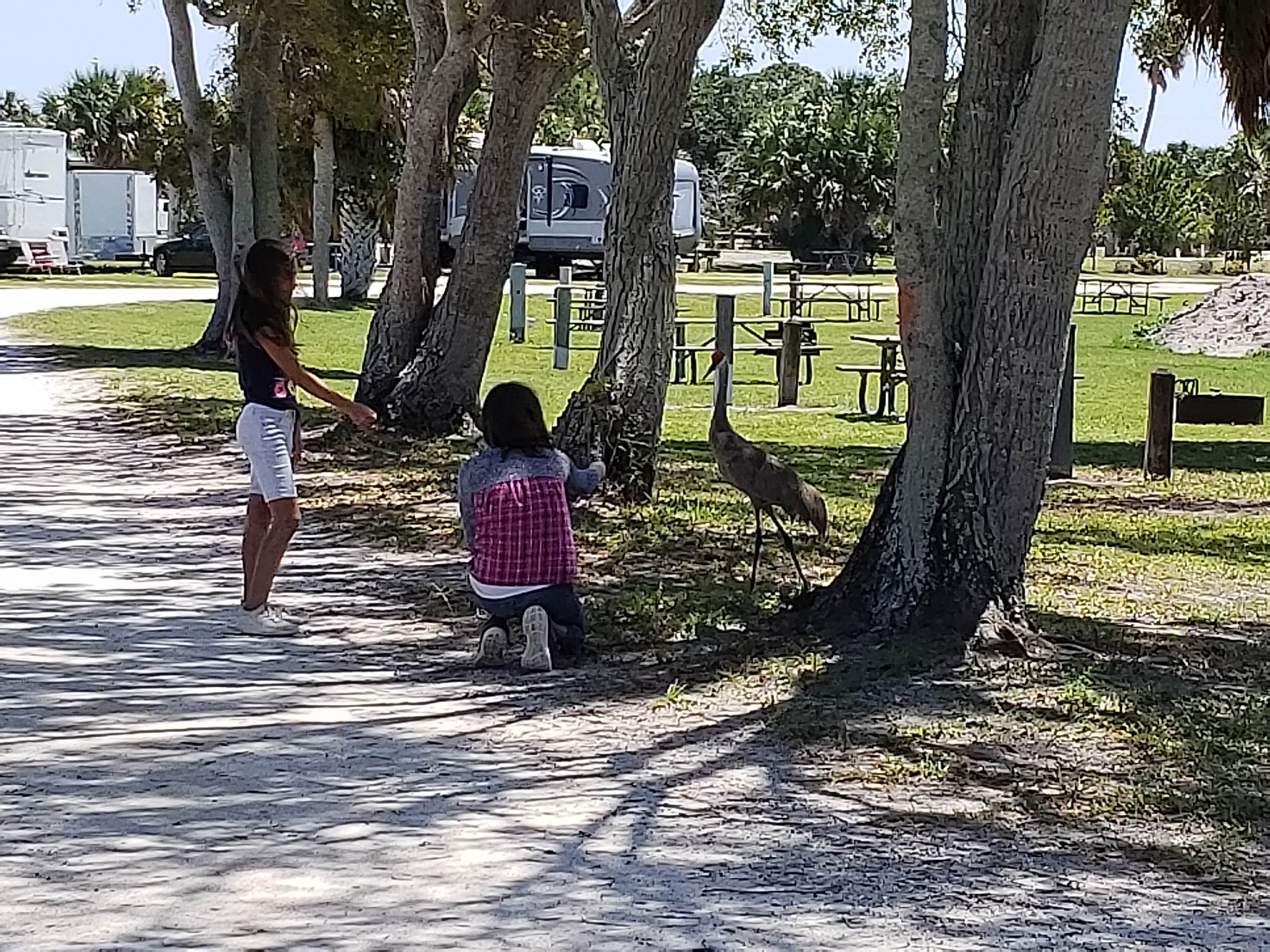 Camper-submitted photo at Savannas Recreational Park near Jensen Beach, FL