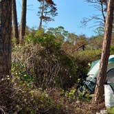 Review photo of Big Lagoon State Park by Denise K., October 18, 2020