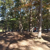 Review photo of Jomeokee Campground by Chip G., October 18, 2020