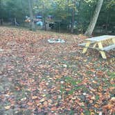 Review photo of Callie’s Lake and Campground by David C., October 18, 2020