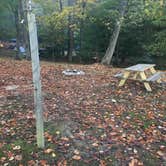 Review photo of Callie’s Lake and Campground by David C., October 18, 2020