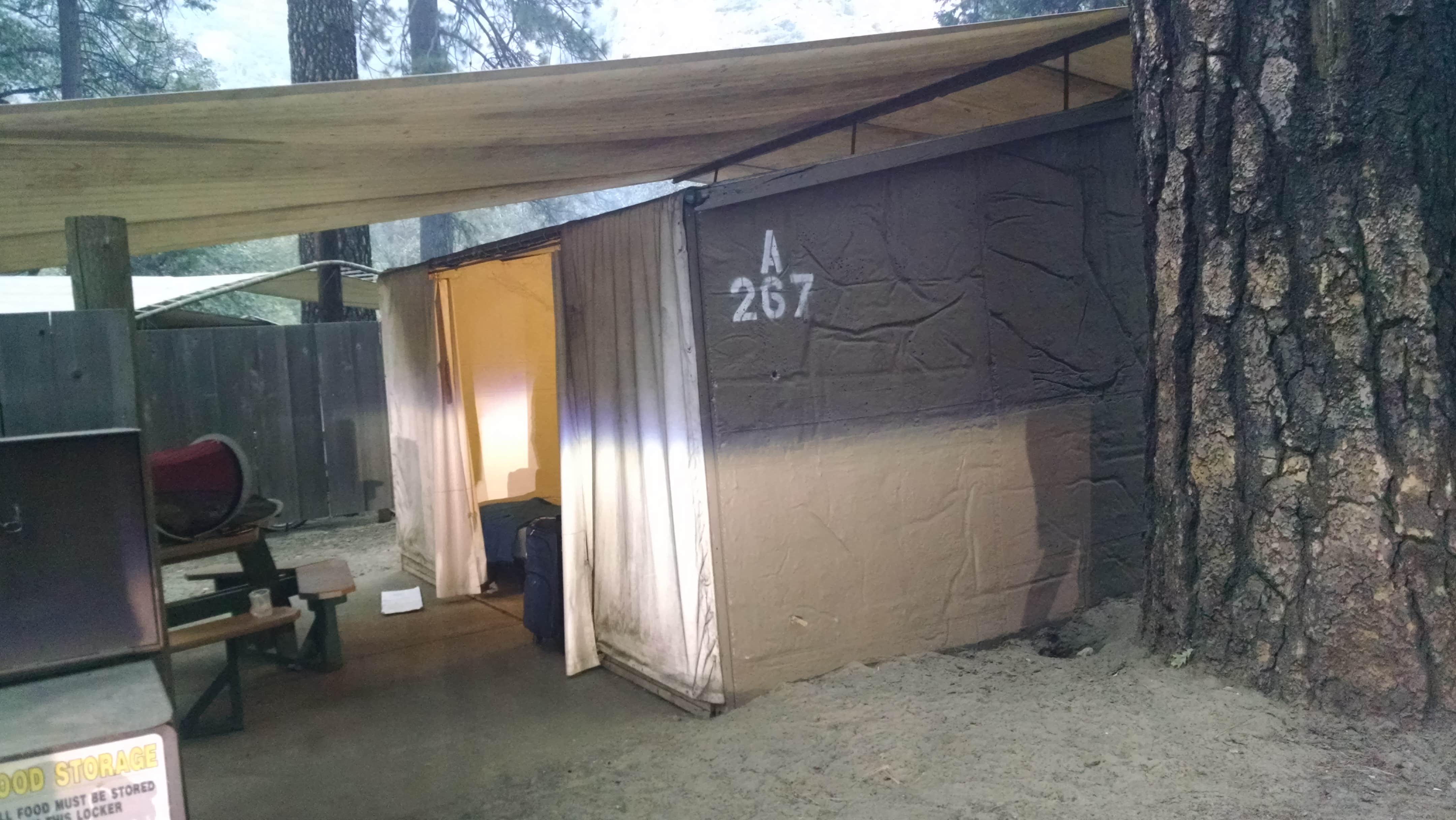 Camper submitted image from Housekeeping Camp — Yosemite National Park - 5