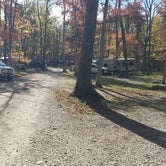 Review photo of Sand Springs Campground by Fred R., October 18, 2020