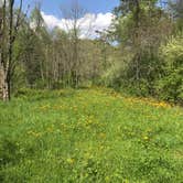 Review photo of Riffle Run Campground — Burnsville Lake Wildlife Management Area by Dave V., May 21, 2018