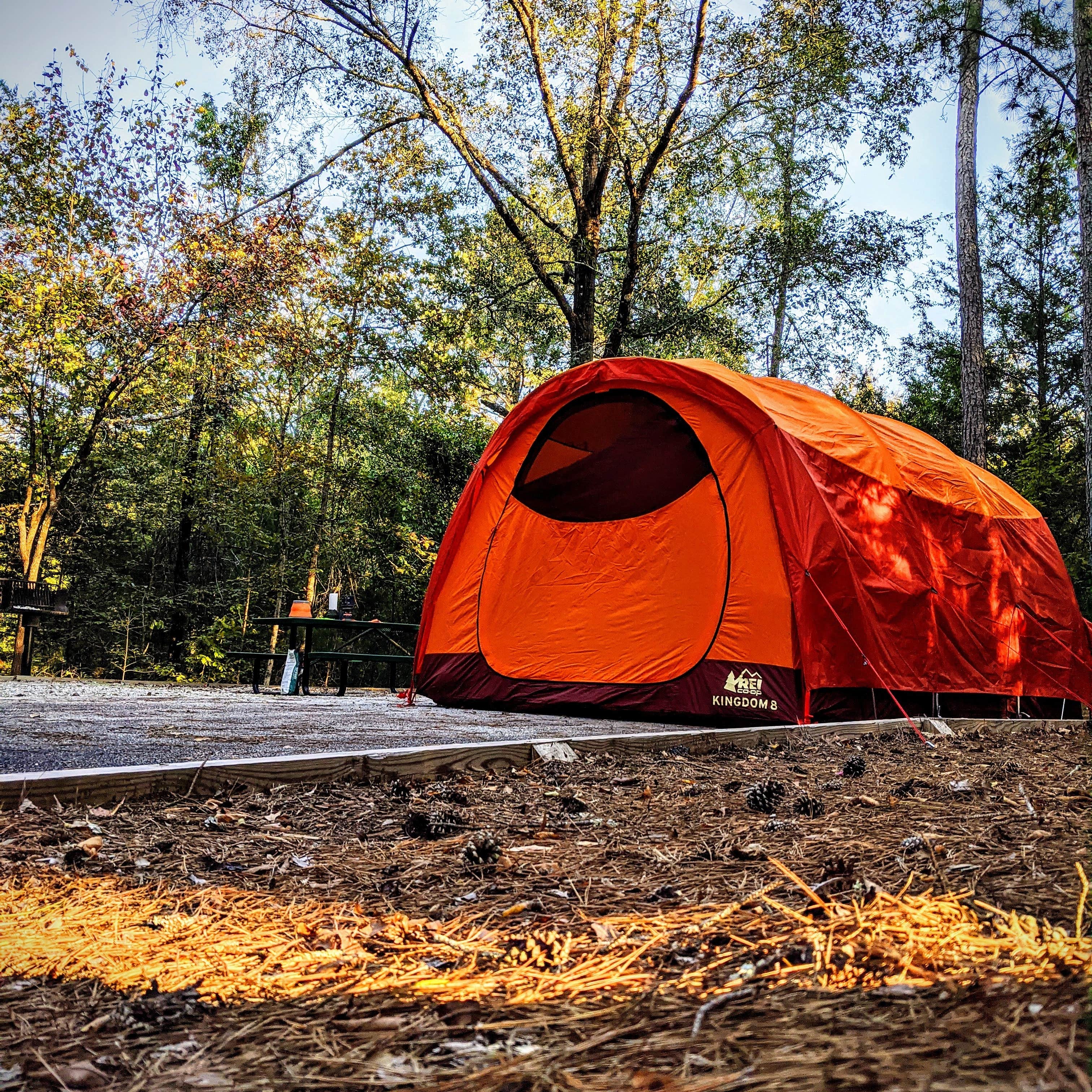 Camper submitted image from Lawrence Shoals Campground - 3