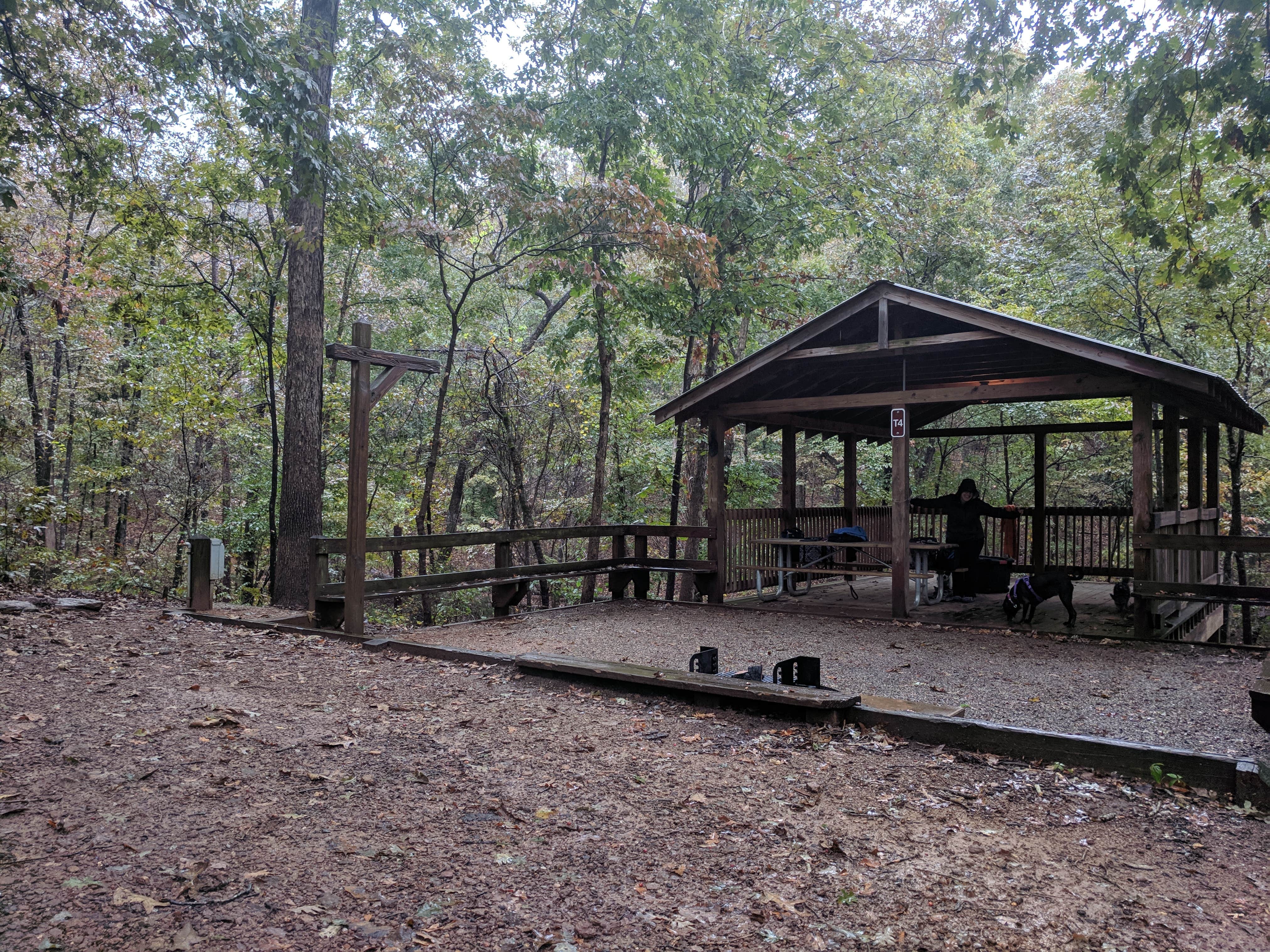 Everette G.'s photo of camping with pets at Victoria Bryant State Park Campground near Lavonia, GA