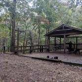 Review photo of Victoria Bryant State Park Campground by Everette G., October 18, 2020