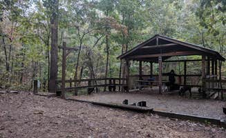 Everette G.'s photo of camping with pets at Victoria Bryant State Park Campground near Lavonia, GA