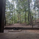 Review photo of Victoria Bryant State Park Campground by Everette G., October 18, 2020