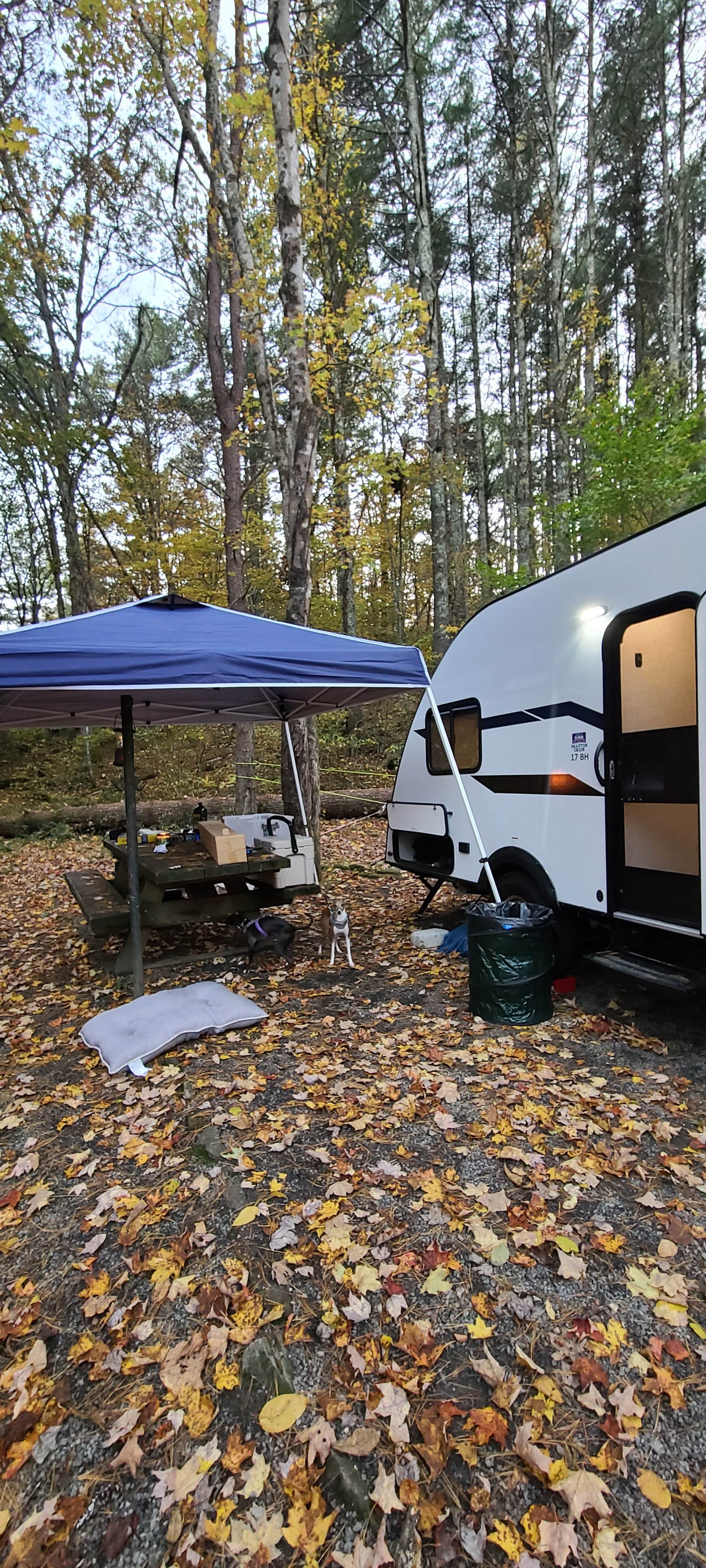 Rebekah C.'s photo at Stony Fork Campground near Rural Retreat, VA