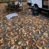 Review photo of Stony Fork Campground by Rebekah C., October 18, 2020