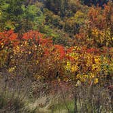 Review photo of Switzer Lake Dispersed Camping by Mike C., October 18, 2020