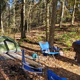 Review photo of Switzer Lake Dispersed Camping by Mike C., October 18, 2020
