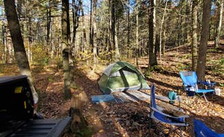 Mike C.'s photo of tent camping at Switzer Lake Dispersed Camping near Dryfork, WV