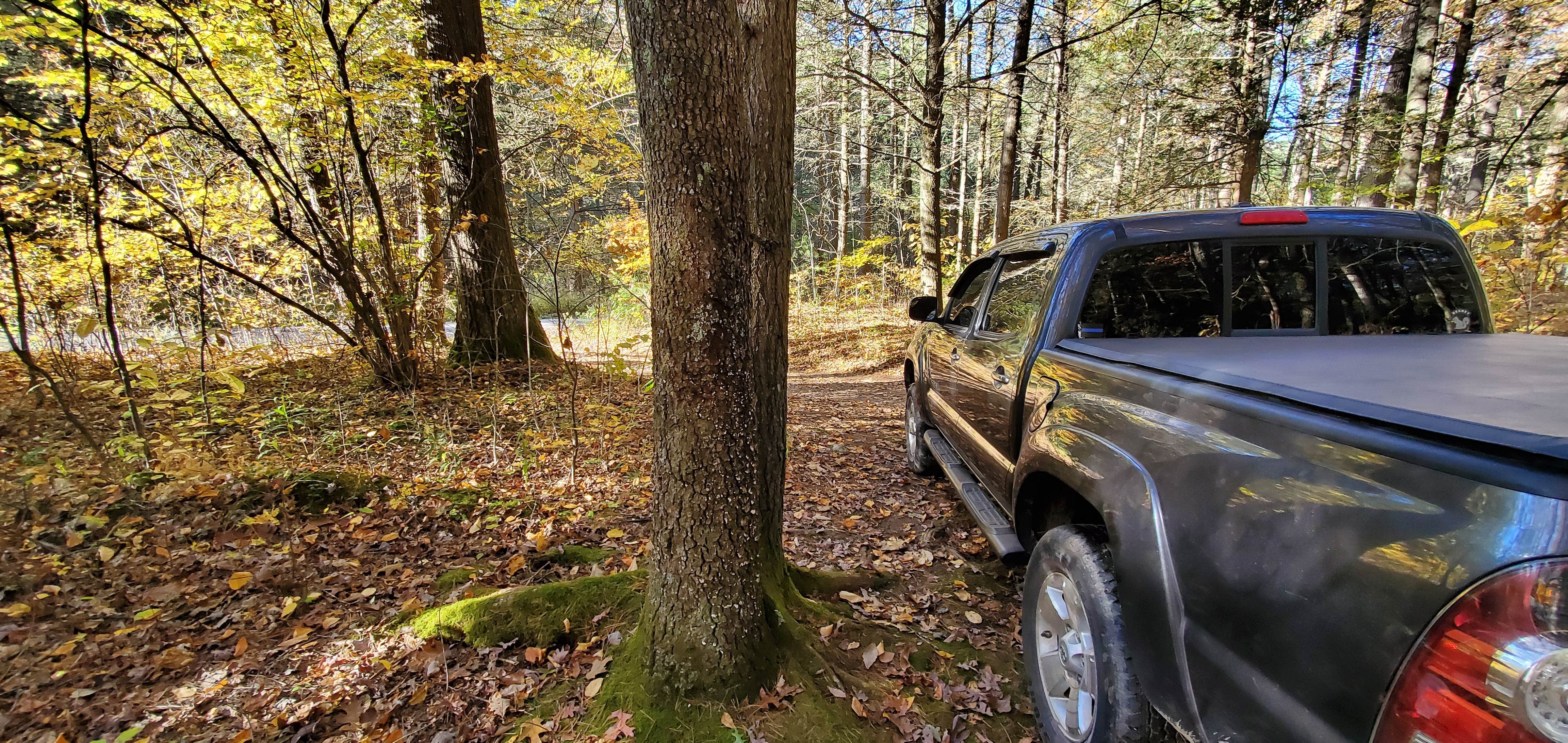 Camper-submitted photo at Switzer Lake Dispersed Camping near Mount Solon, VA