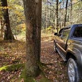 Review photo of Switzer Lake Dispersed Camping by Mike C., October 18, 2020