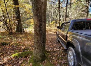 Switzer Lake Dispersed Camping