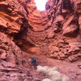 Review photo of Dispersed Mexican Hat Camping by Carter Marie  M., October 18, 2020