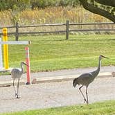 Review photo of Addison Oaks County Park by Tim & Nancy C., October 18, 2020