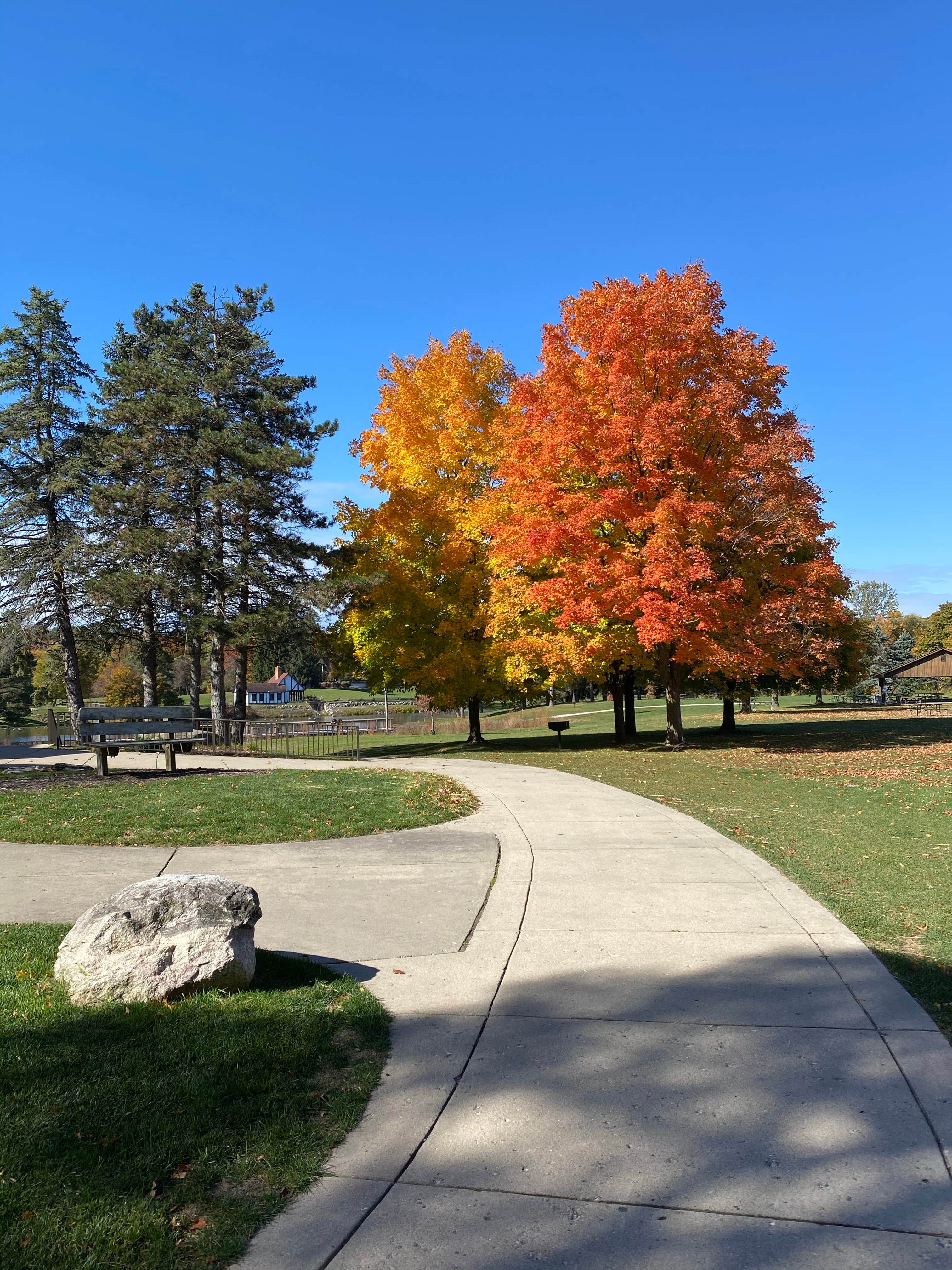 Camper submitted image from Addison Oaks County Park - 1