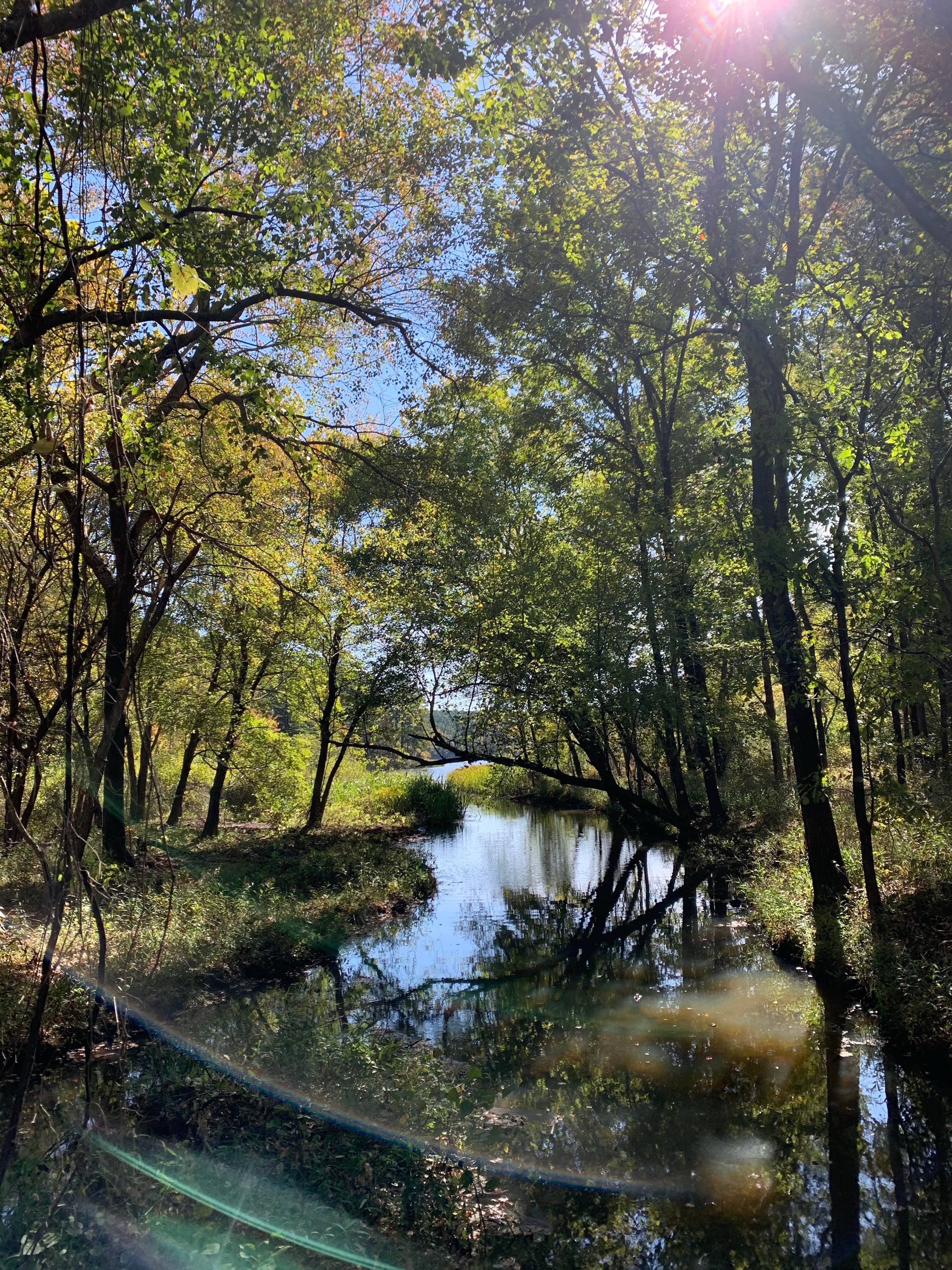 Camper-submitted photo at Cedar Lake Equestrian Campground near Talihina, OK
