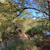 Review photo of Cedar Lake Equestrian Campground by Patrick G., October 18, 2020