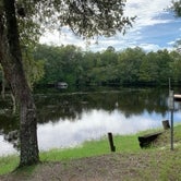 Review photo of Suwannee River Bend RV Park by wendy S., October 18, 2020
