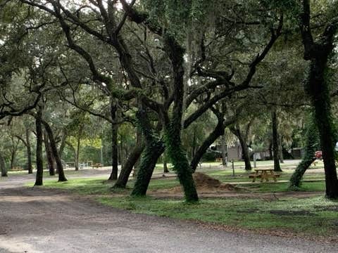 Camper submitted image from Suwannee River Bend RV Park - 3