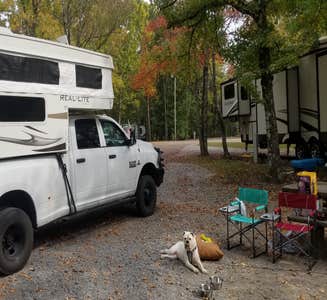 Camper-submitted photo from Land Between The Lakes National Recreation Area Piney Campground