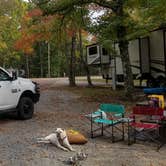 Review photo of Land Between The Lakes National Recreation Area Piney Campground by Ronnie S., October 18, 2020