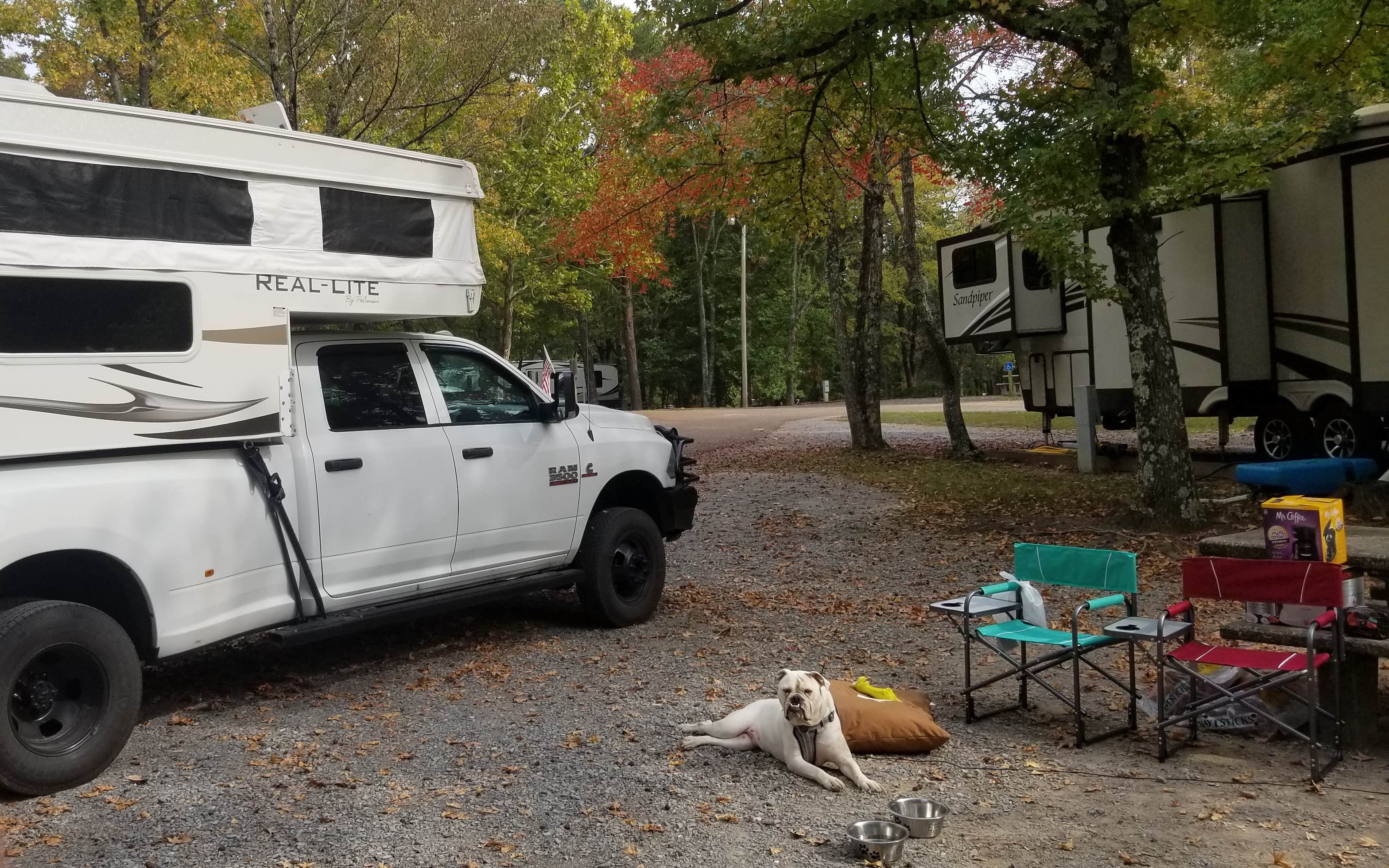 Camper submitted image from Land Between The Lakes National Recreation Area Piney Campground - 2