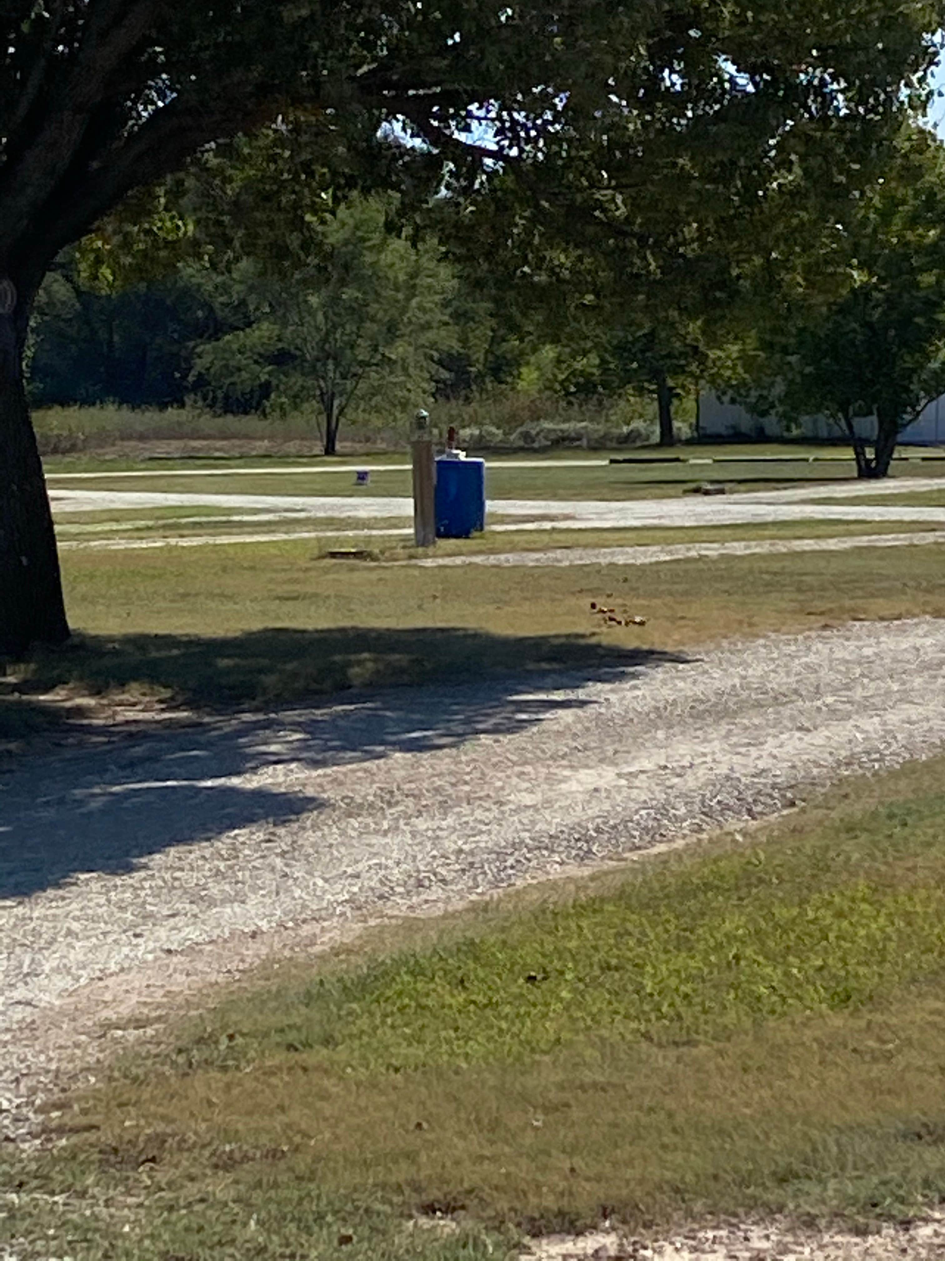 Camper-submitted photo at Payne Oil RV Park near Walton, KS
