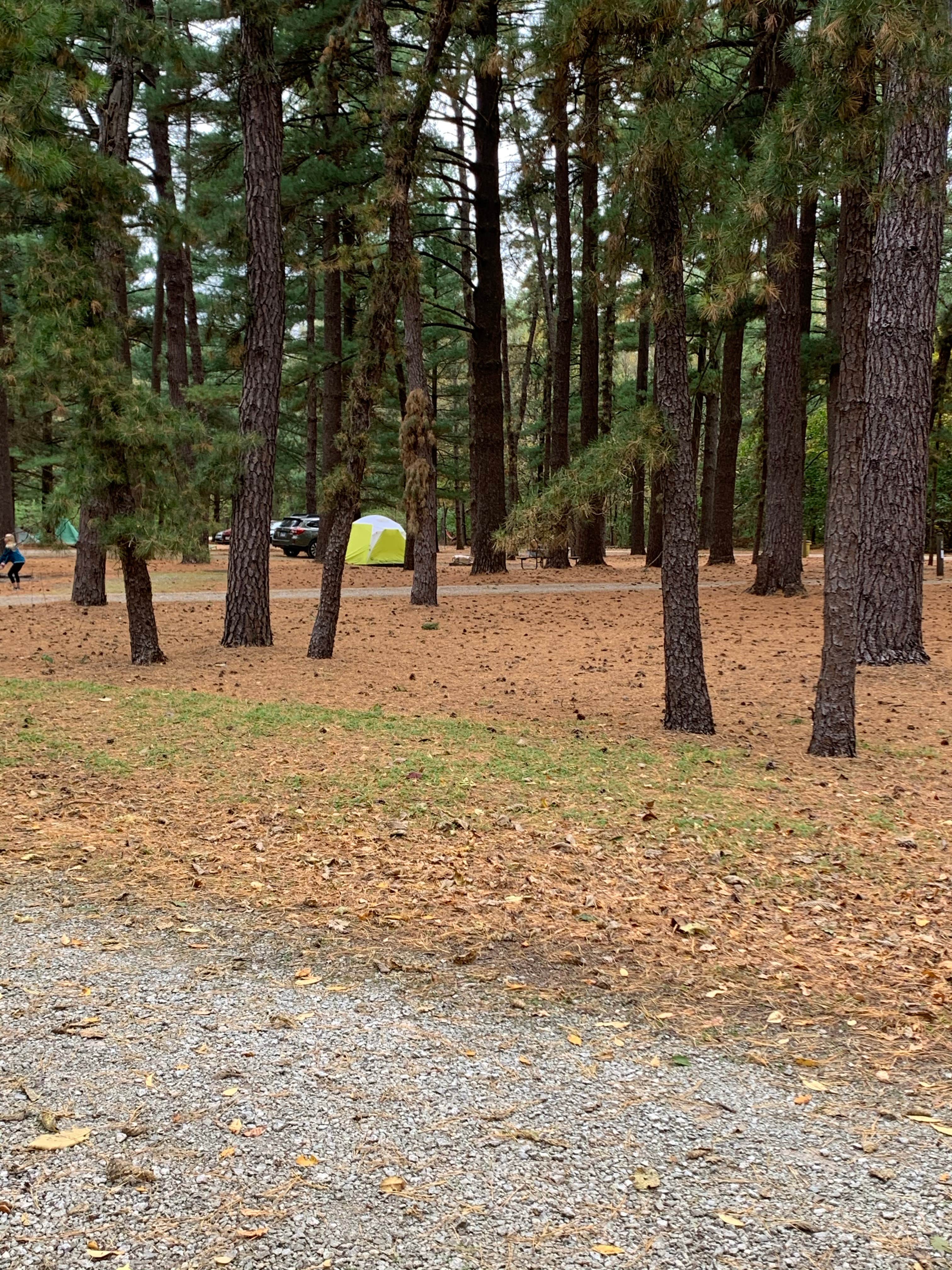 Camper-submitted photo at Pine Campground — Sand Ridge State Forest near Bartonville, IL