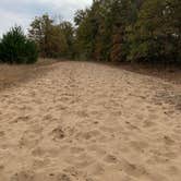 Review photo of Pine Campground — Sand Ridge State Forest by Amanda C., October 18, 2020