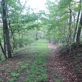 Review photo of Riffle Run Campground — Burnsville Lake Wildlife Management Area by Dave V., May 21, 2018