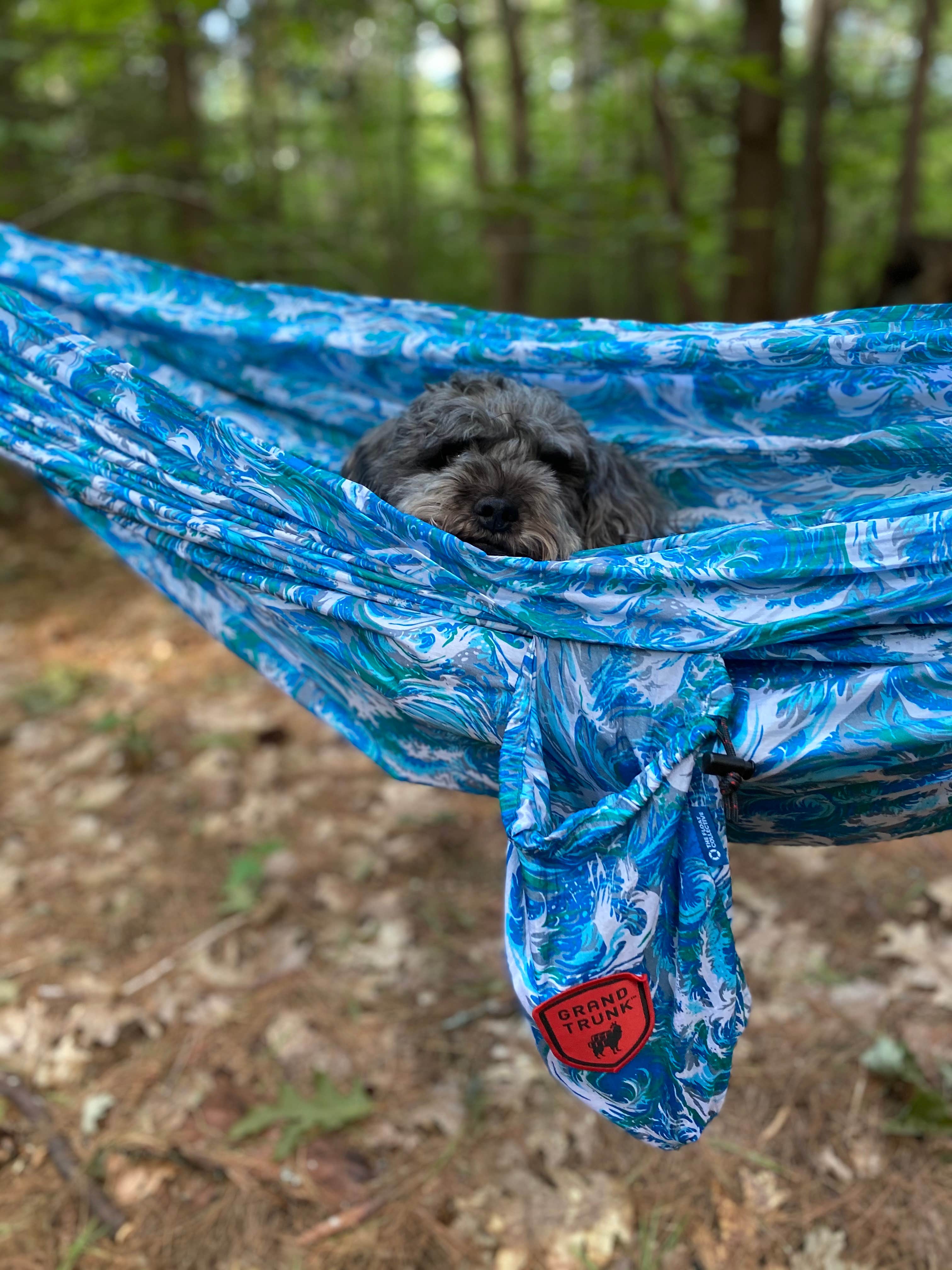 Molly G.'s photo of camping with pets at Wolfeboro Campground near Gilford, NH