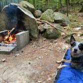 Review photo of Wolfeboro Campground by Molly G., October 18, 2020