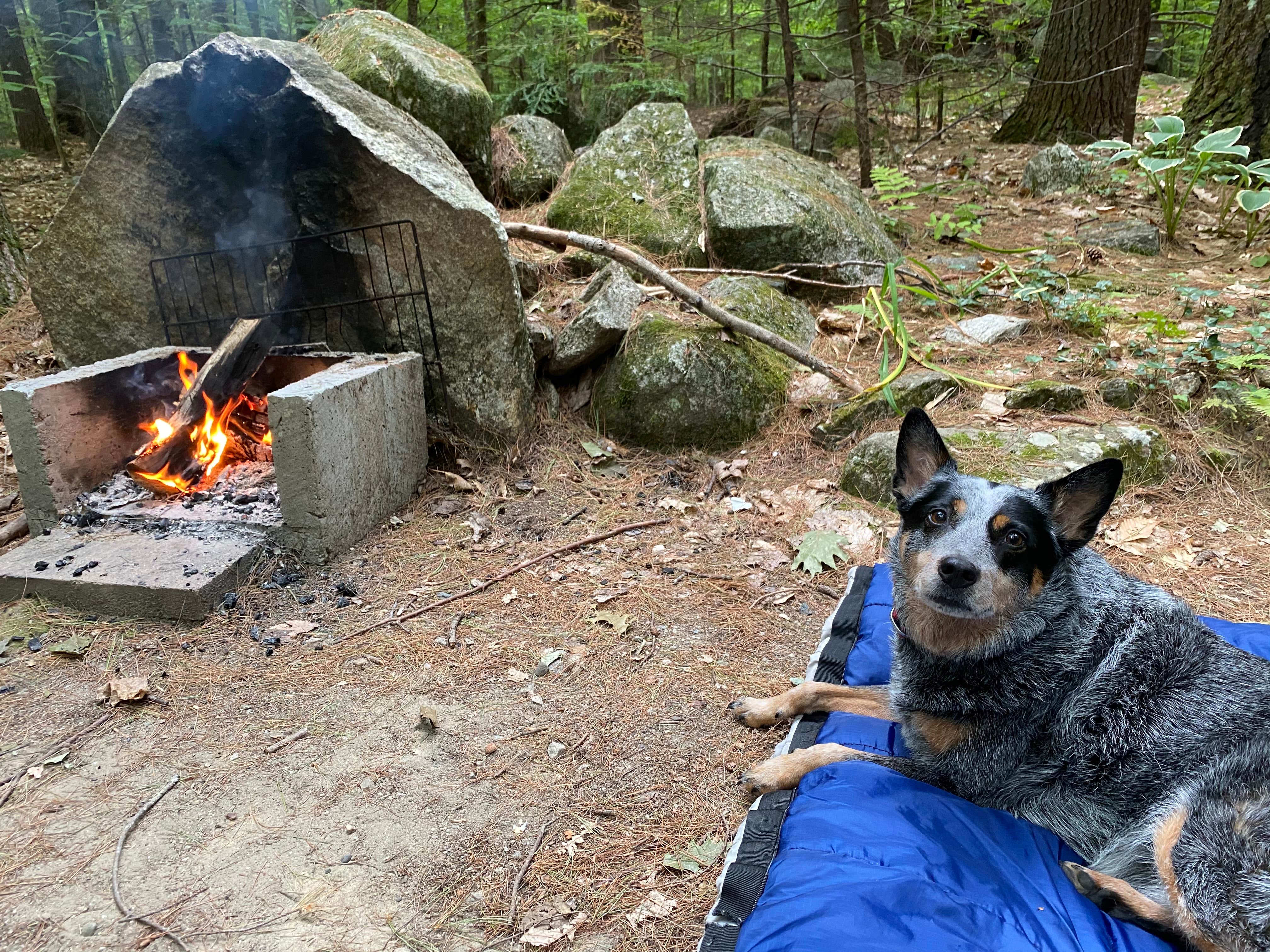 Camper submitted image from Wolfeboro Campground - 2