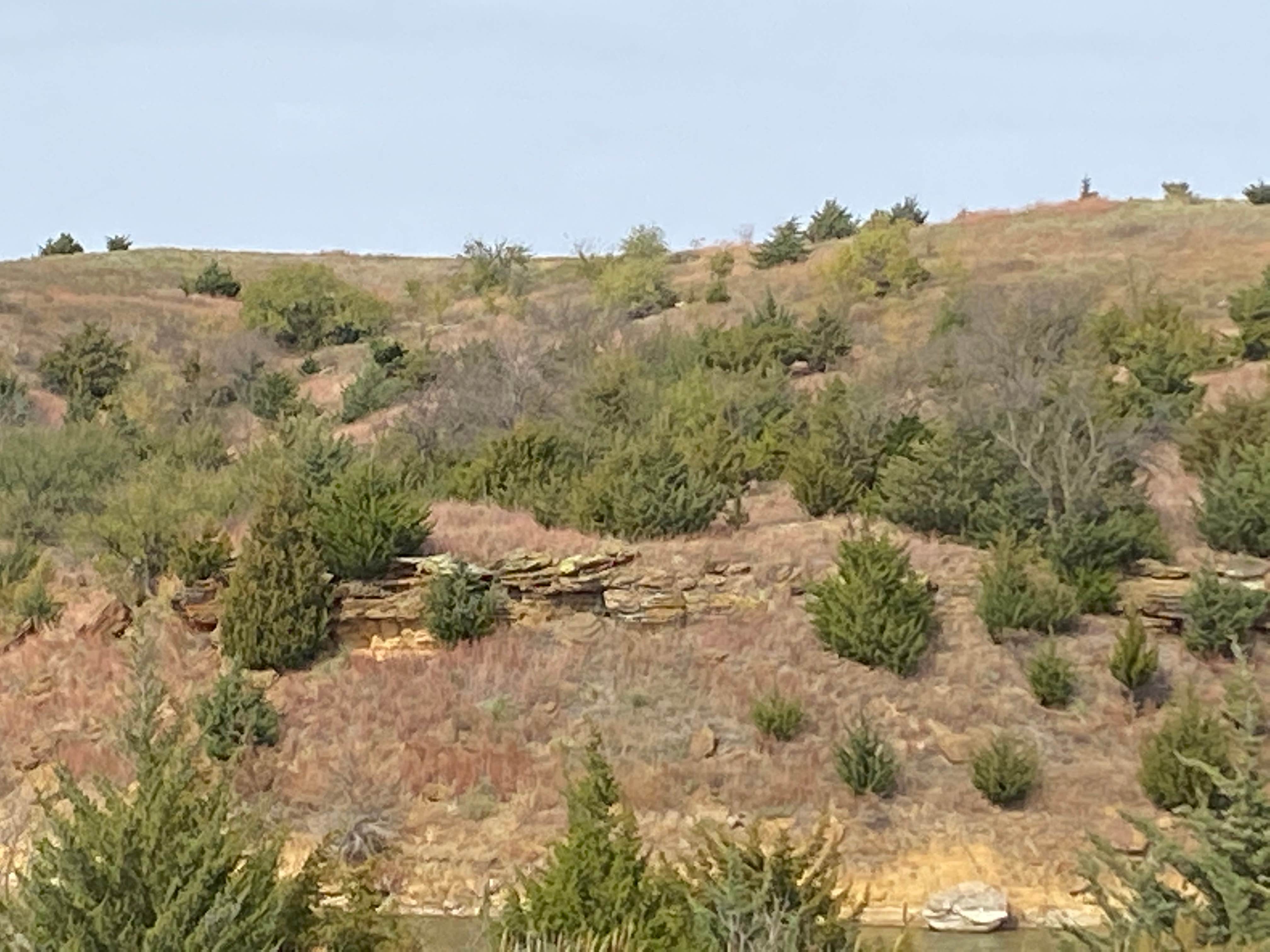 Camper-submitted photo at Dropseed — Wilson State Park near Great Bend, KS