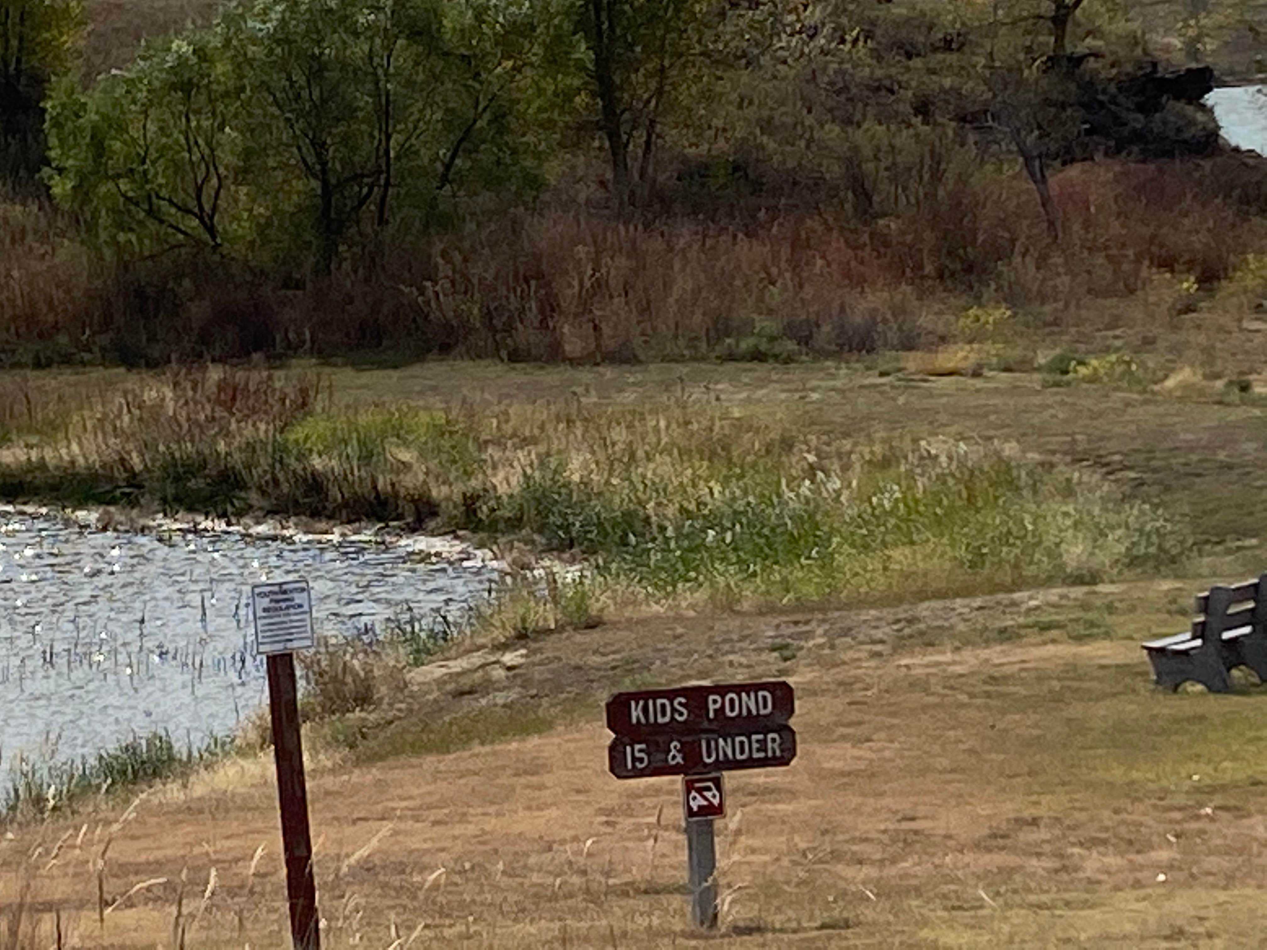 Camper-submitted photo at Wheatgrass Hell Creek Area Campground — Wilson State Park near Lucas, KS