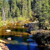 Review photo of Stanislaus River Campground by Greg & Jennifer  S., October 18, 2020