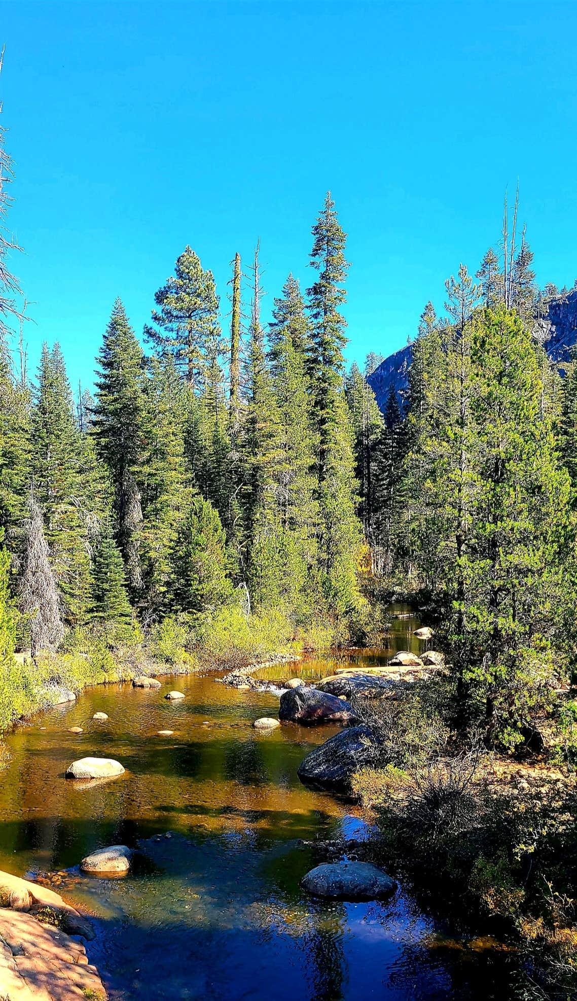 Escape to Paradise: Your Stanislaus River Campground Adventure Awaits!