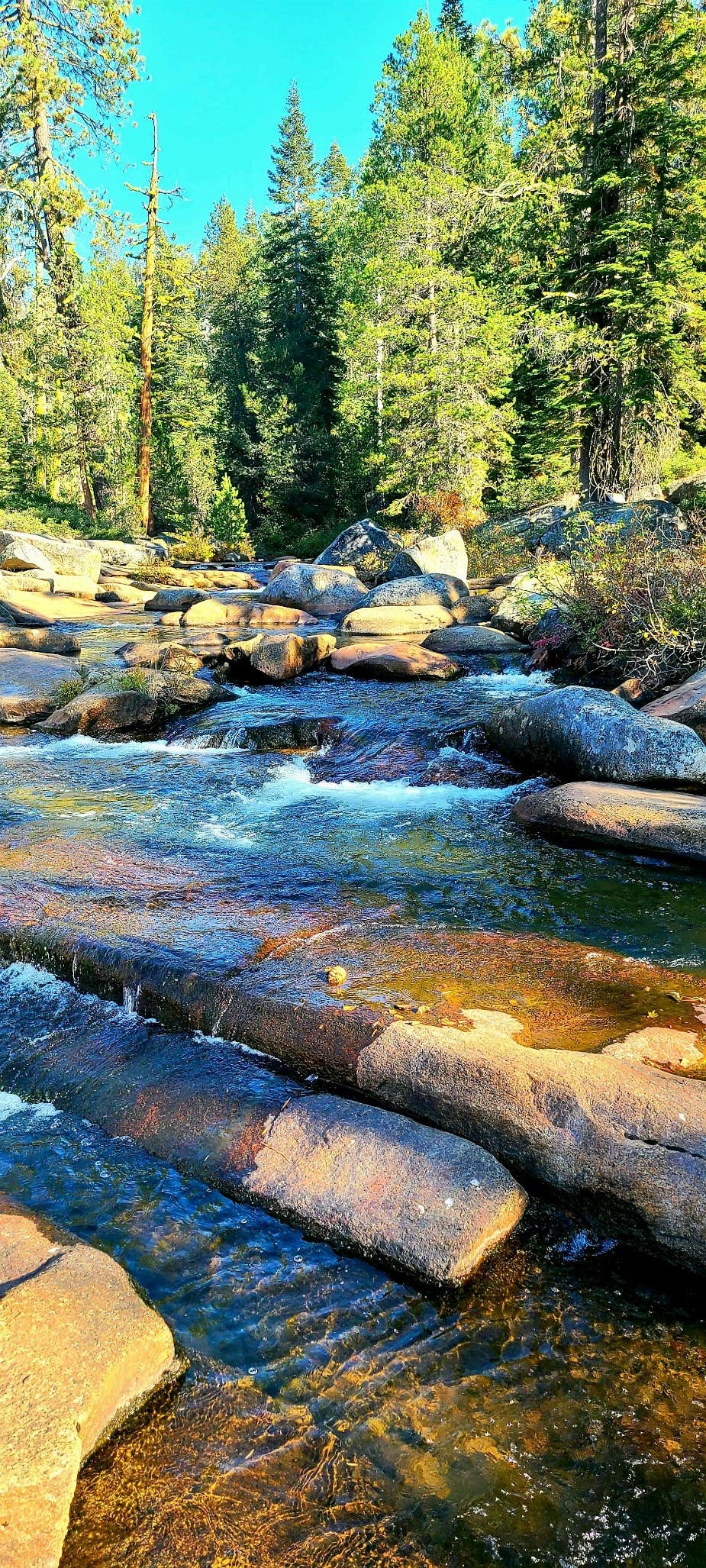 Camper-submitted photo at Stanislaus River Campground near Fort Jones, CA