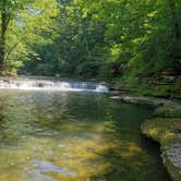 Review photo of David Crockett State Park Campground by Steve G., October 18, 2020