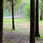 Review photo of Tishomingo State Park Campground by Steve G., October 18, 2020